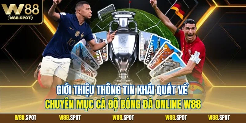 Cá Cược Bóng Đá W88| Lựa Chọn Giải Trí Thể Thao Online Số 1 2 Giới thiệu thông tin khái quát về chuyên mục cá độ bóng đá online W88