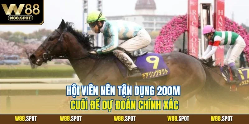 Cá Cược Đua Ngựa W88 | Chinh Phục Màn Đua Chiến Mã Tại W88 4 Hội viên nên tận dụng 200m cuối để dự đoán chính xác