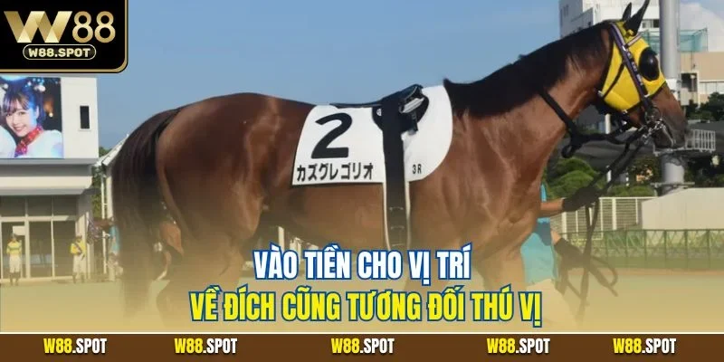 Cá Cược Đua Ngựa W88 | Chinh Phục Màn Đua Chiến Mã Tại W88 3 Vào tiền cho vị trí về đích cũng tương đối thú vị
